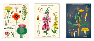 Ensemble de 3 carnets Cavallini fleurs sauvages 10 x 14