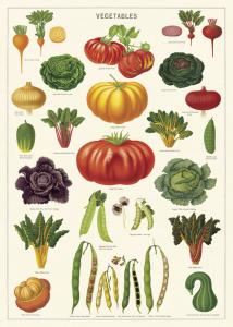 Poster - affiche Cavallini 50 x 70 cm legumes du potager