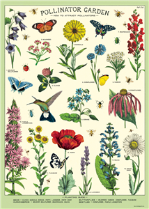 Poster - affiche Cavallini 50 x 70 cm pollinisation