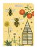 Ensemble de 3 carnets Cavallini abeilles et miel 10 x 14