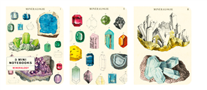 Ensemble de 3 carnets Cavallini mineralogie 10 x 14